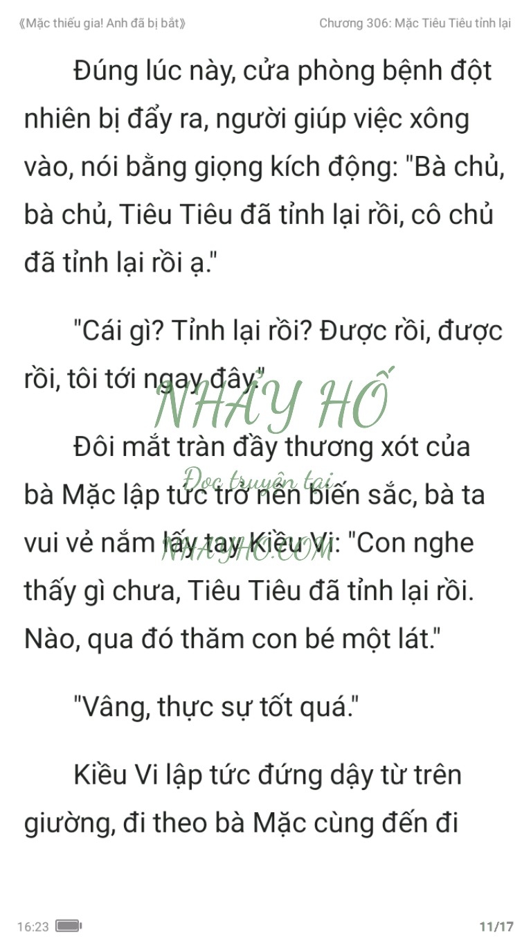 mac-thieu-gia-anh-da-bi-bat-306-10