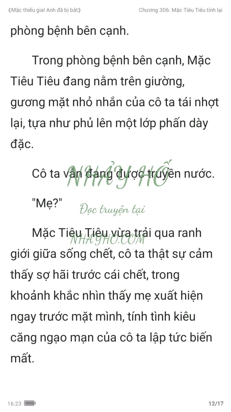 mac-thieu-gia-anh-da-bi-bat-306-11