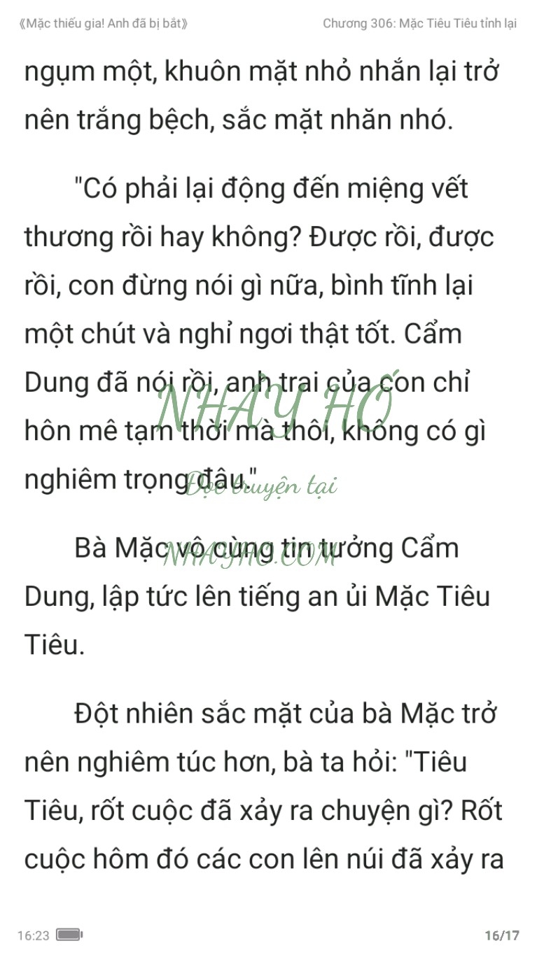 mac-thieu-gia-anh-da-bi-bat-306-15