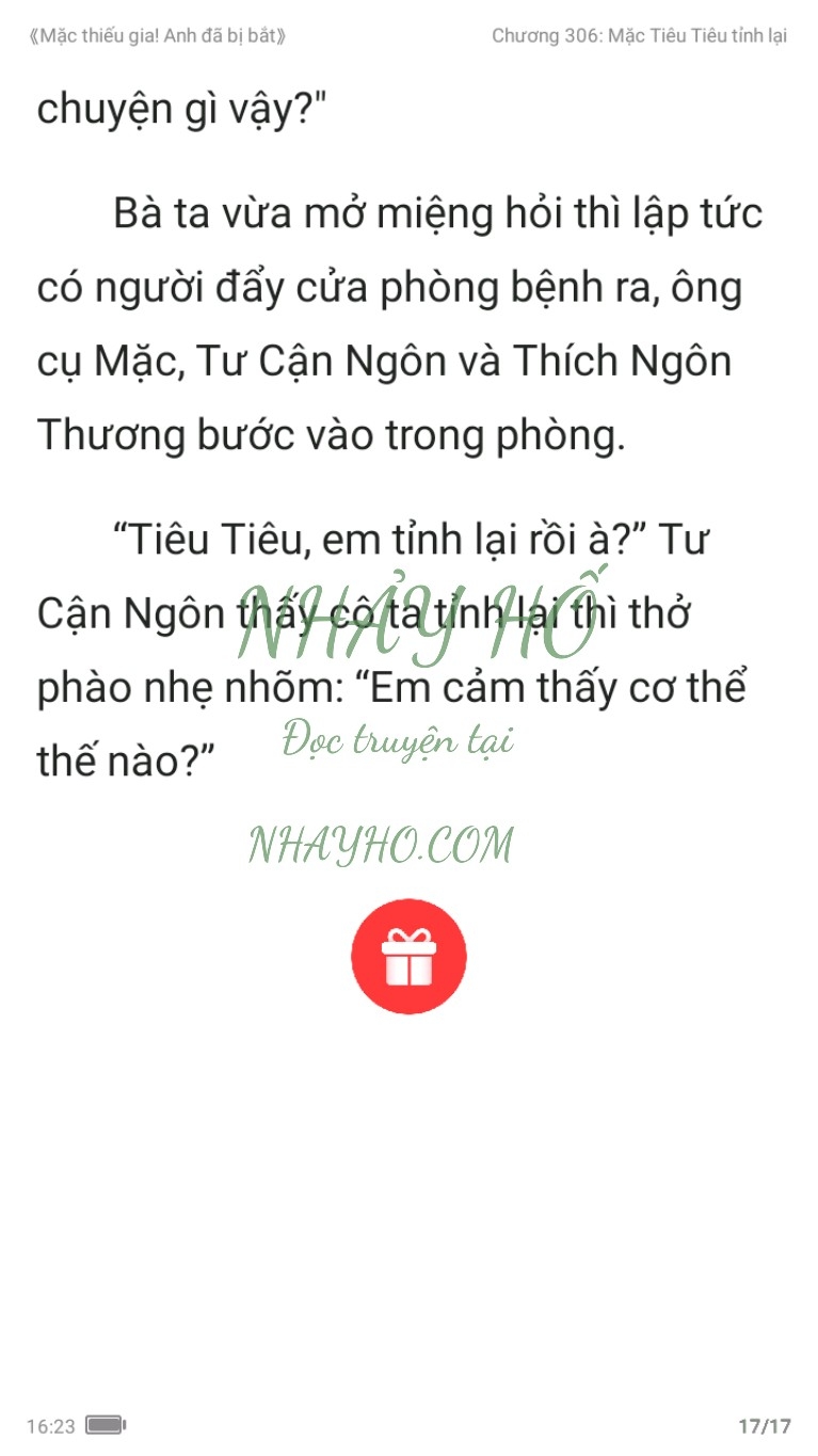 mac-thieu-gia-anh-da-bi-bat-306-16