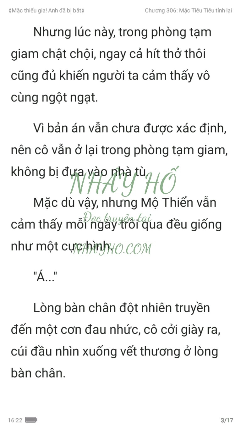 mac-thieu-gia-anh-da-bi-bat-306-2