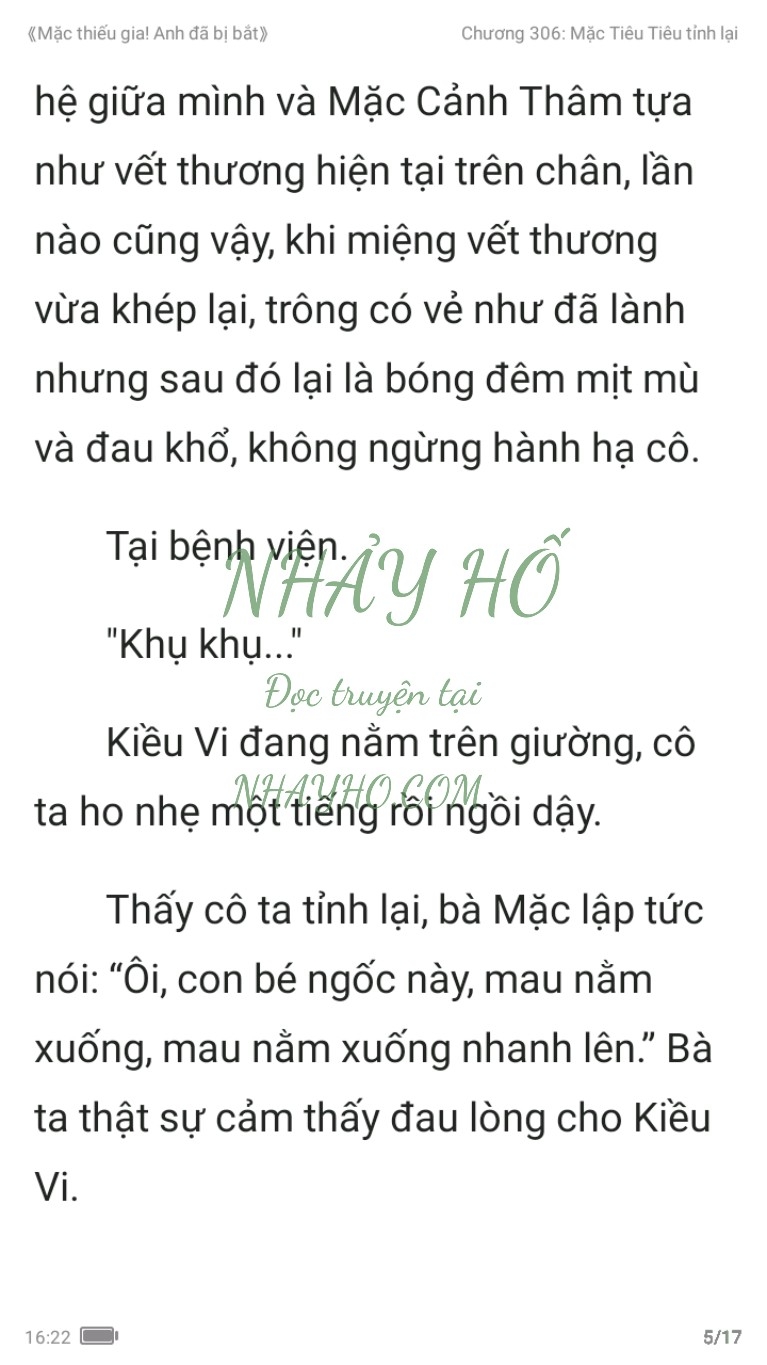 mac-thieu-gia-anh-da-bi-bat-306-4