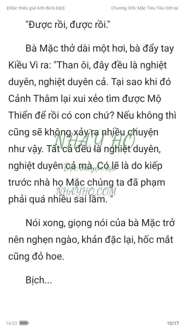 mac-thieu-gia-anh-da-bi-bat-306-9