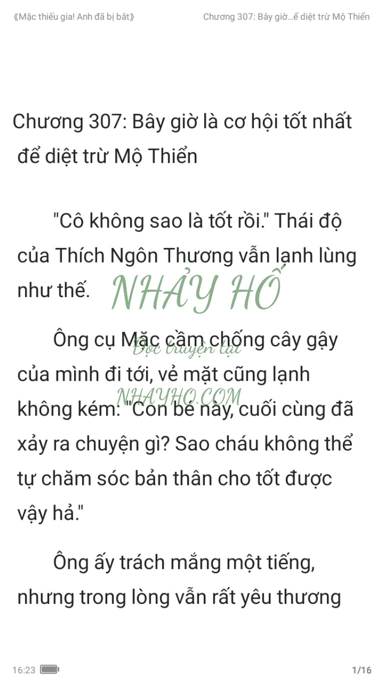 mac-thieu-gia-anh-da-bi-bat-307-0