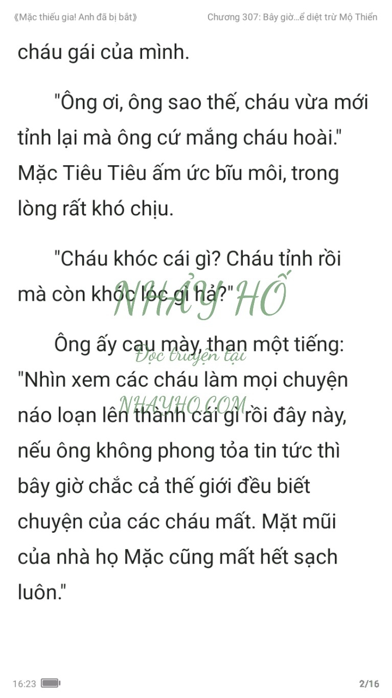 mac-thieu-gia-anh-da-bi-bat-307-1