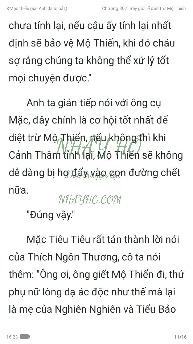 mac-thieu-gia-anh-da-bi-bat-307-10