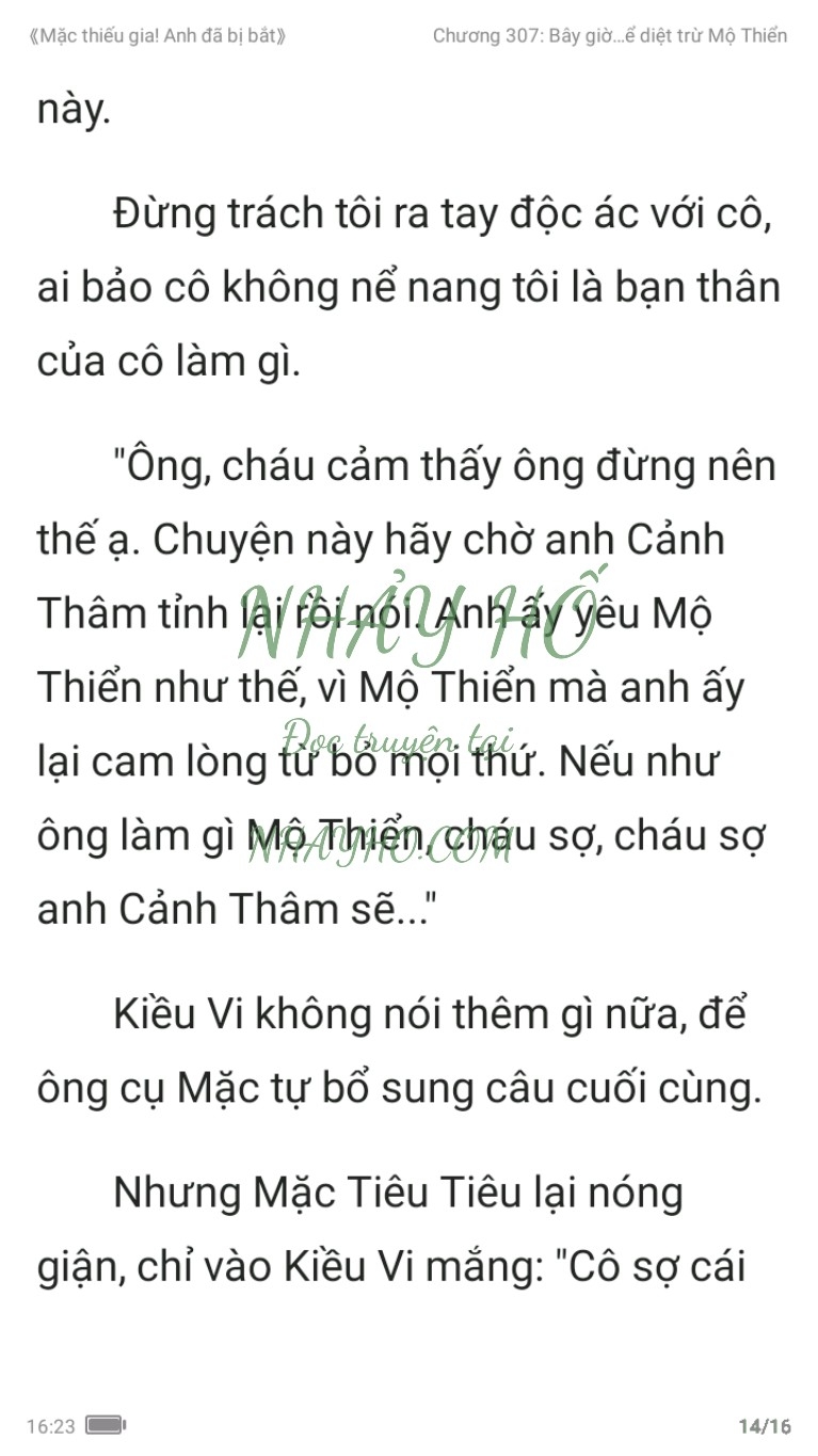 mac-thieu-gia-anh-da-bi-bat-307-13