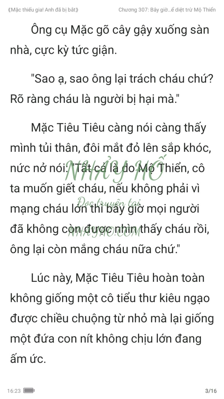 mac-thieu-gia-anh-da-bi-bat-307-2