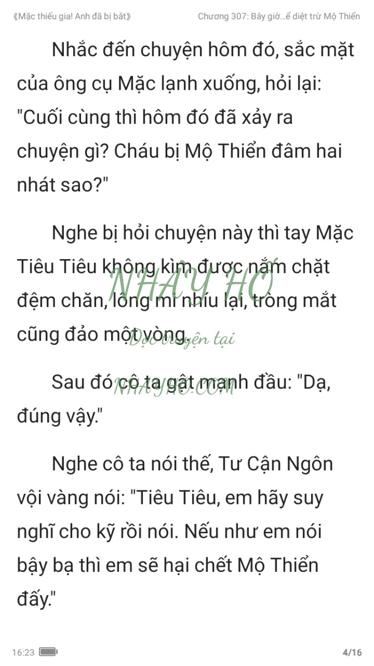 mac-thieu-gia-anh-da-bi-bat-307-3