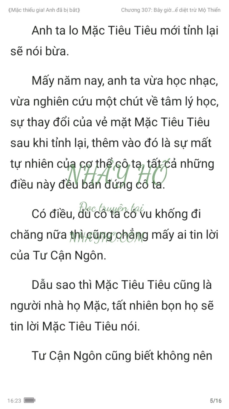 mac-thieu-gia-anh-da-bi-bat-307-4