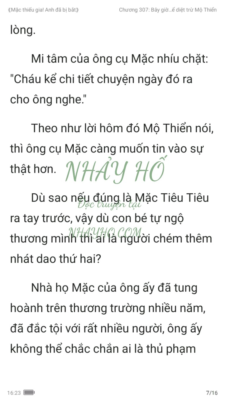 mac-thieu-gia-anh-da-bi-bat-307-6