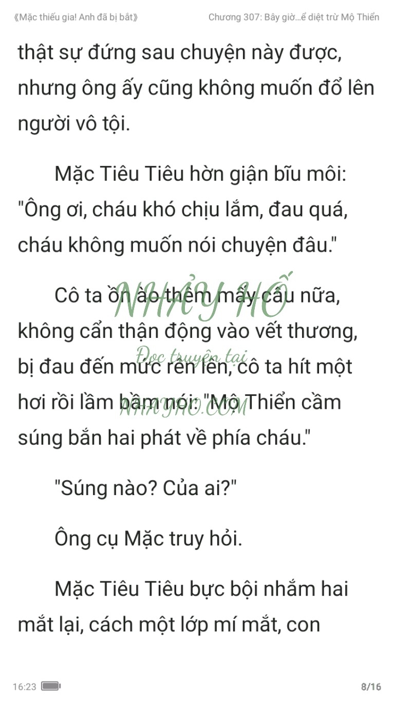 mac-thieu-gia-anh-da-bi-bat-307-7