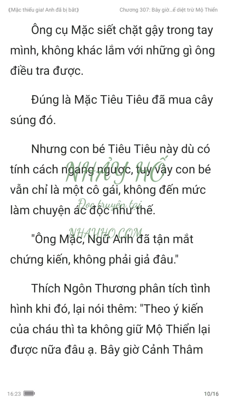 mac-thieu-gia-anh-da-bi-bat-307-9