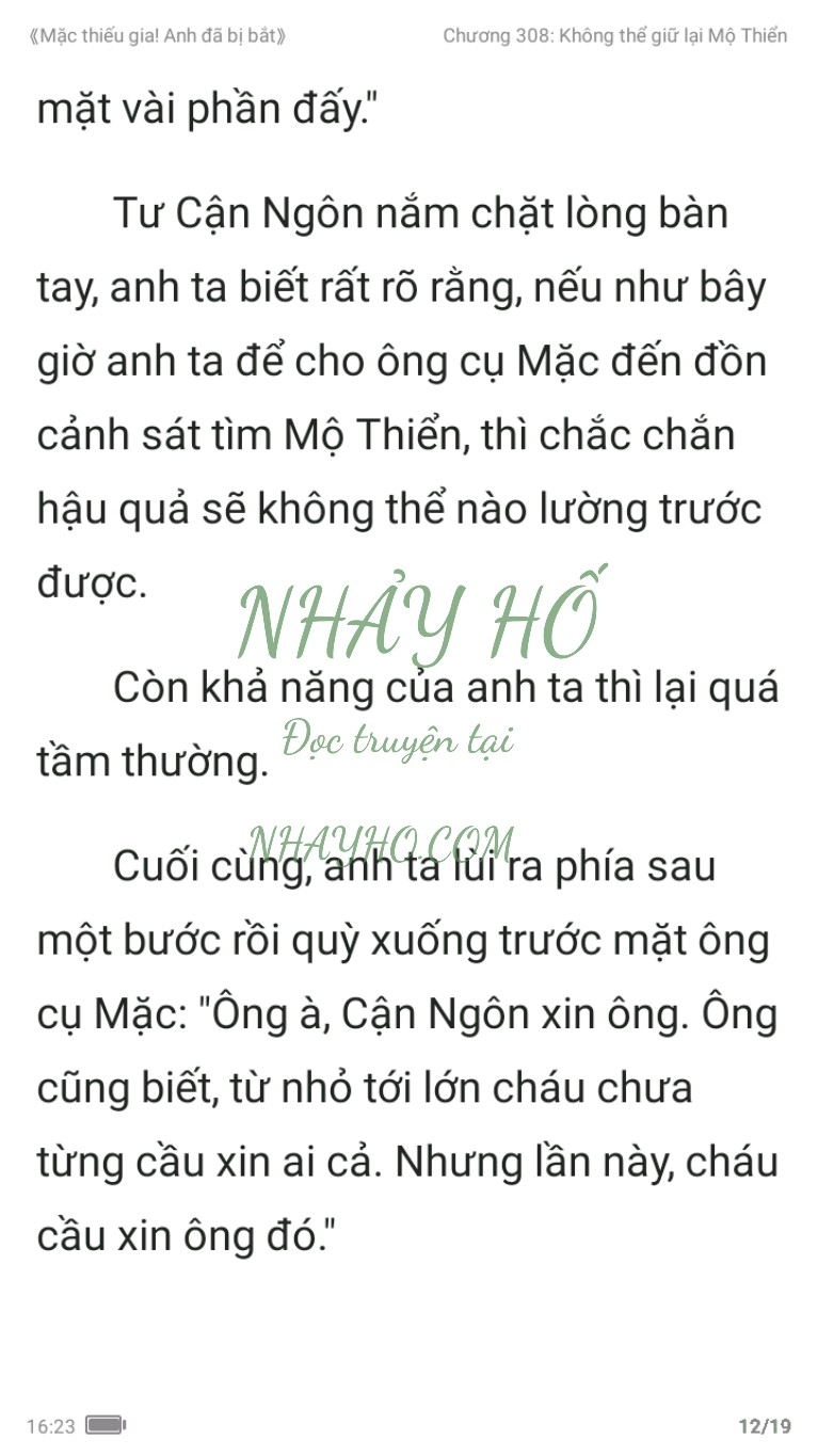 mac-thieu-gia-anh-da-bi-bat-308-11