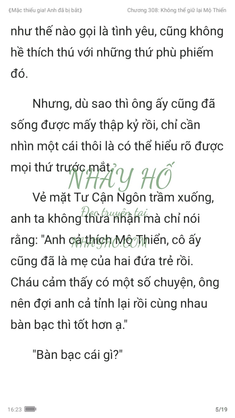 mac-thieu-gia-anh-da-bi-bat-308-4