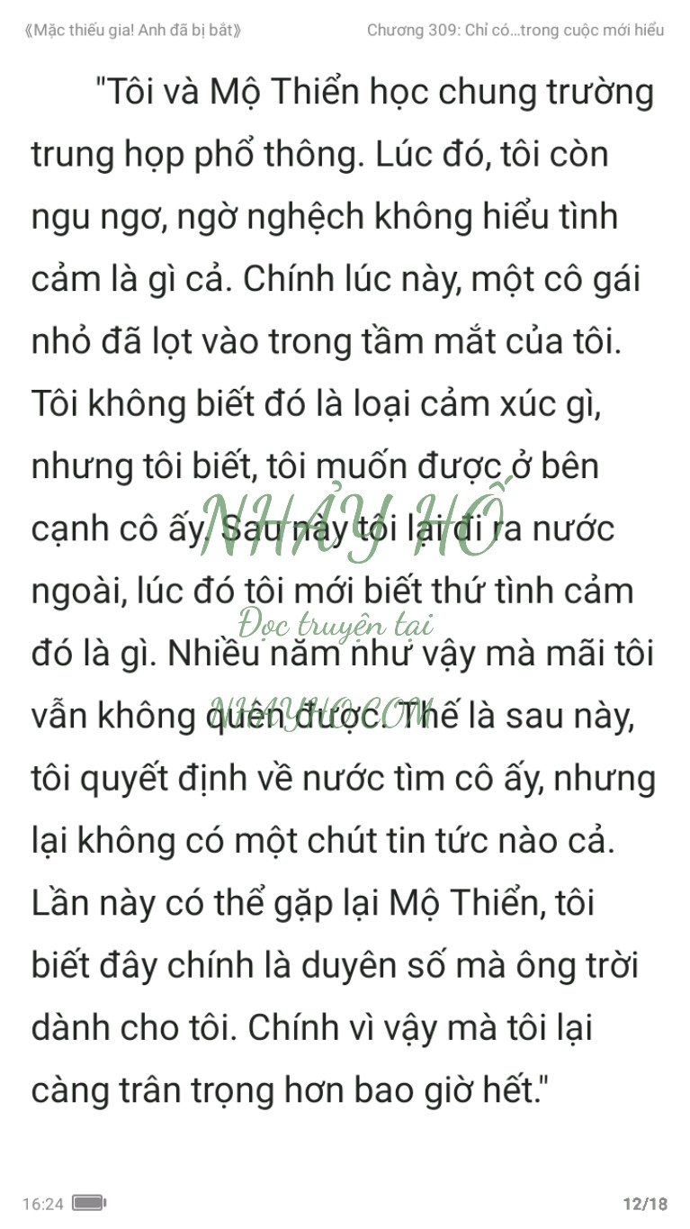 mac-thieu-gia-anh-da-bi-bat-309-11