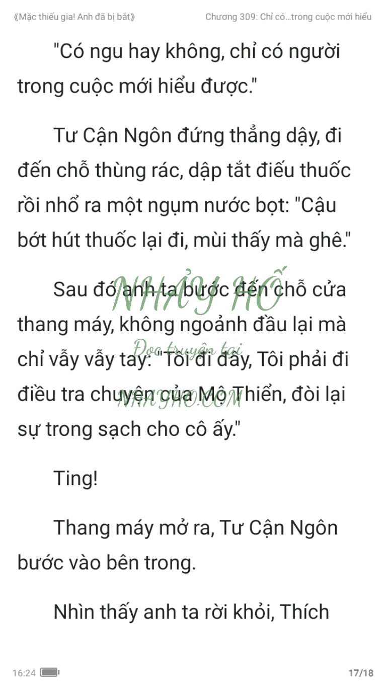 mac-thieu-gia-anh-da-bi-bat-309-16