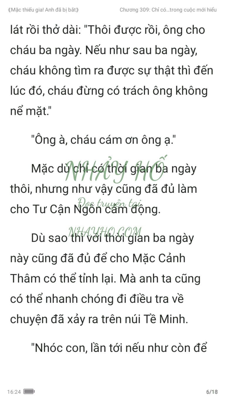 mac-thieu-gia-anh-da-bi-bat-309-5