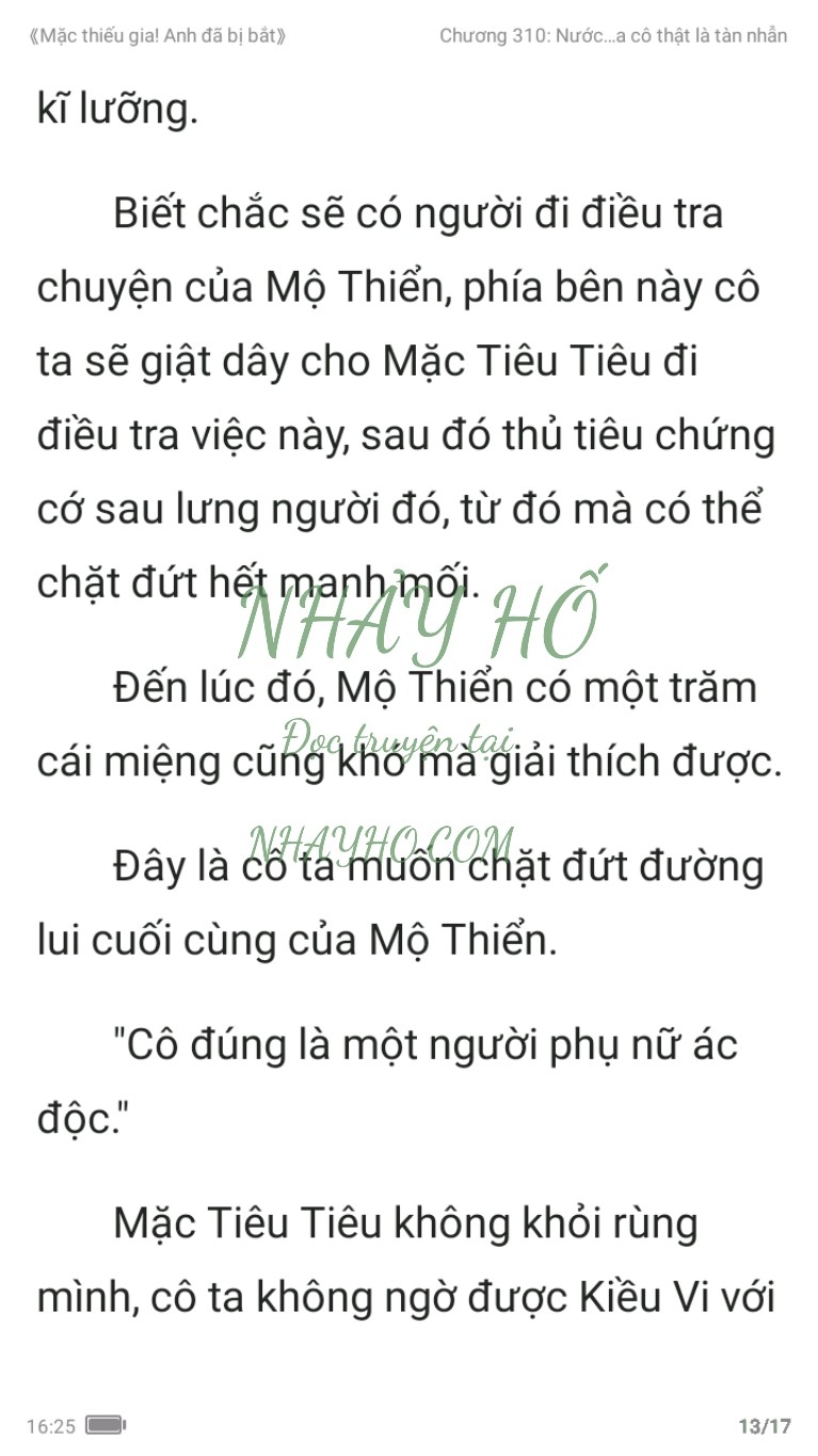 mac-thieu-gia-anh-da-bi-bat-310-12