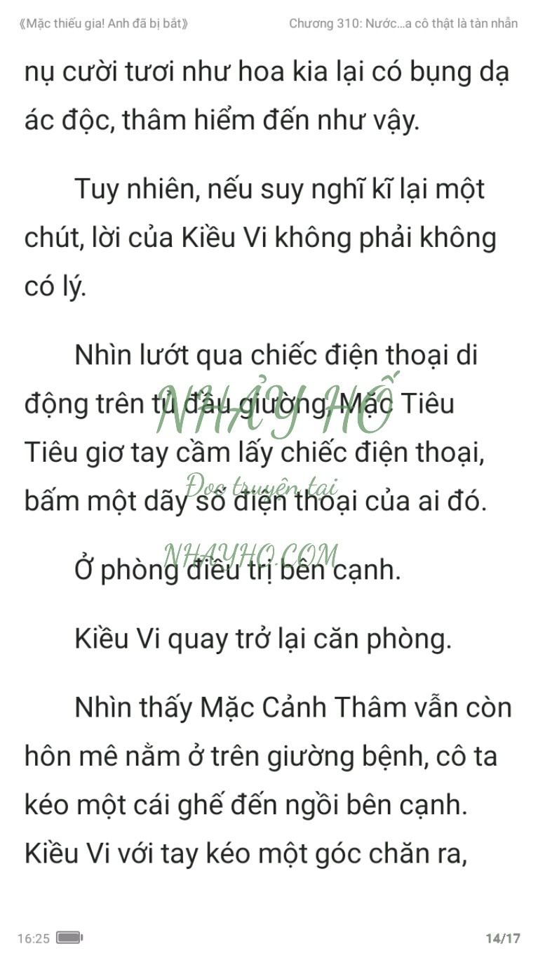 mac-thieu-gia-anh-da-bi-bat-310-13