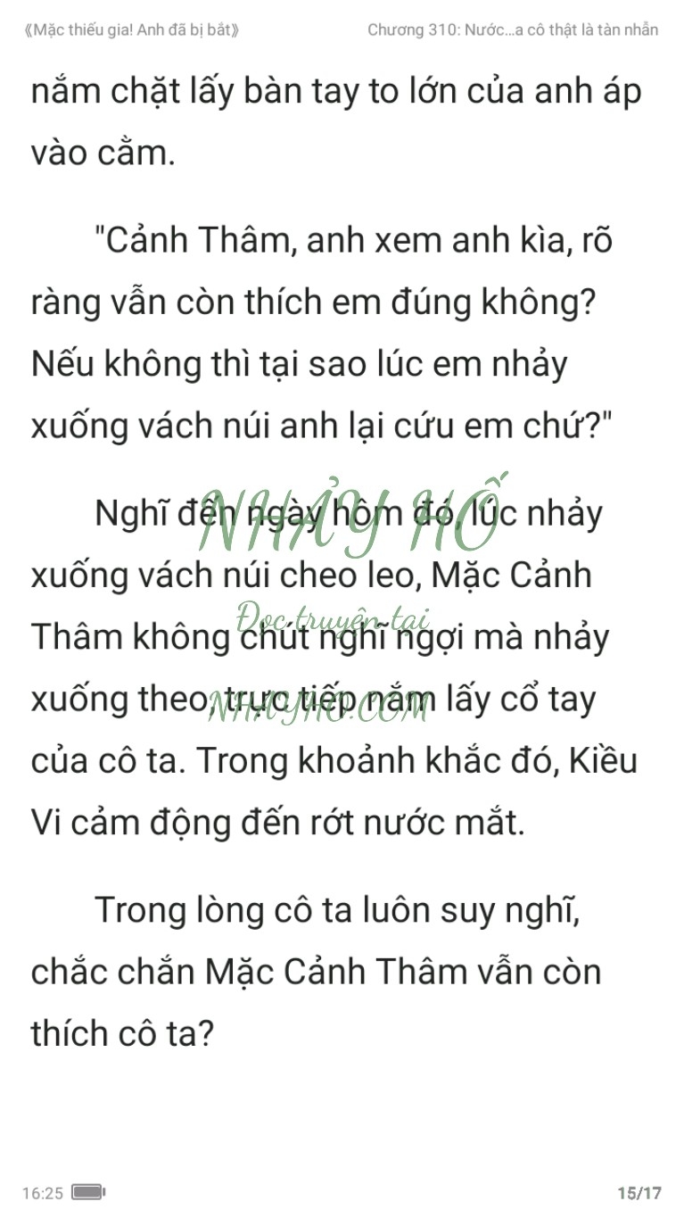 mac-thieu-gia-anh-da-bi-bat-310-14