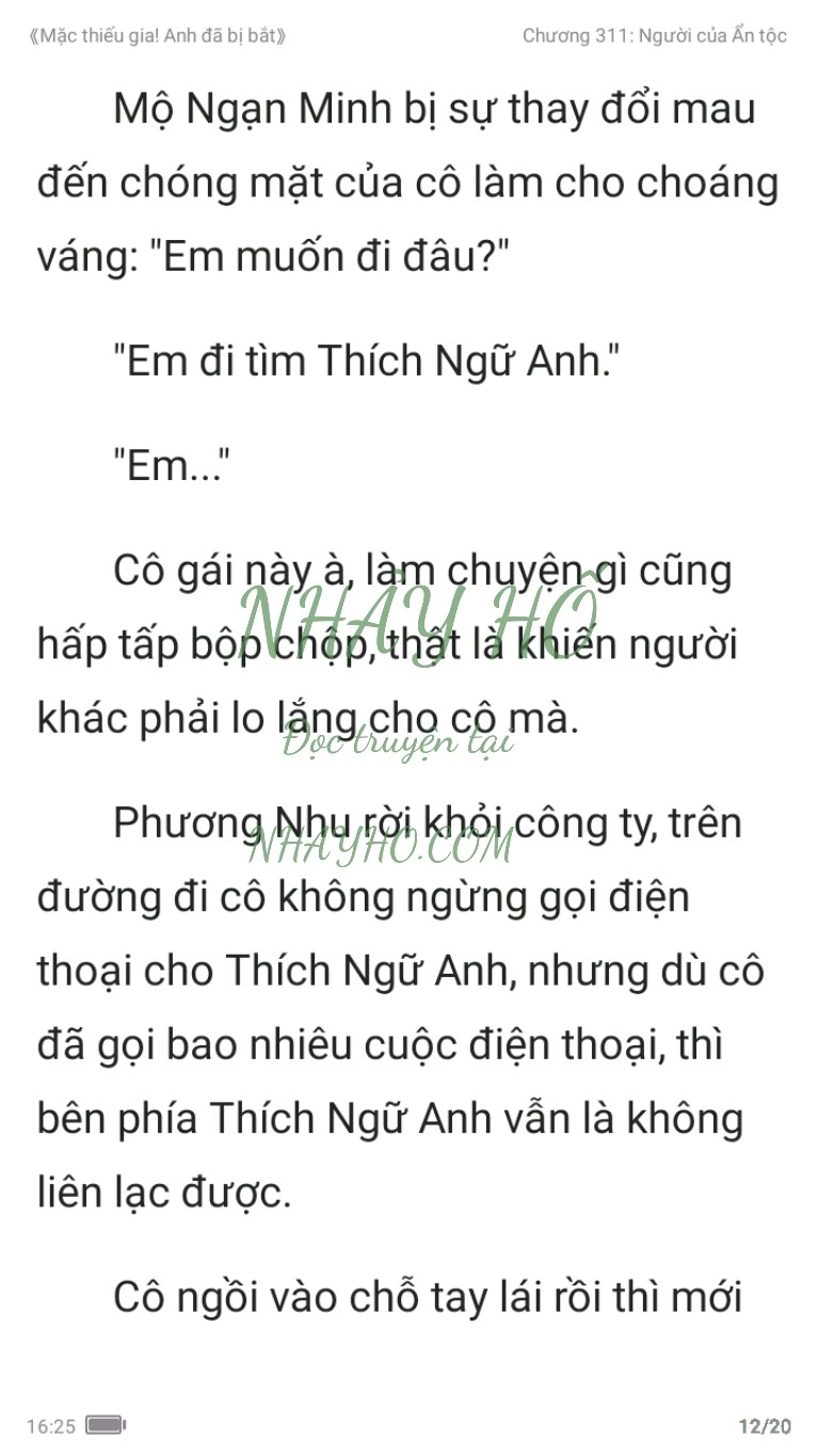 mac-thieu-gia-anh-da-bi-bat-311-11