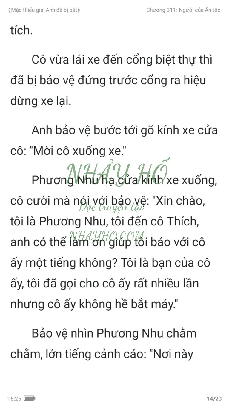 mac-thieu-gia-anh-da-bi-bat-311-13