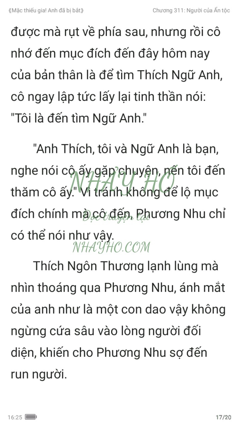 mac-thieu-gia-anh-da-bi-bat-311-16