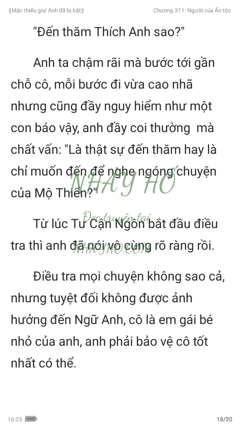 mac-thieu-gia-anh-da-bi-bat-311-17