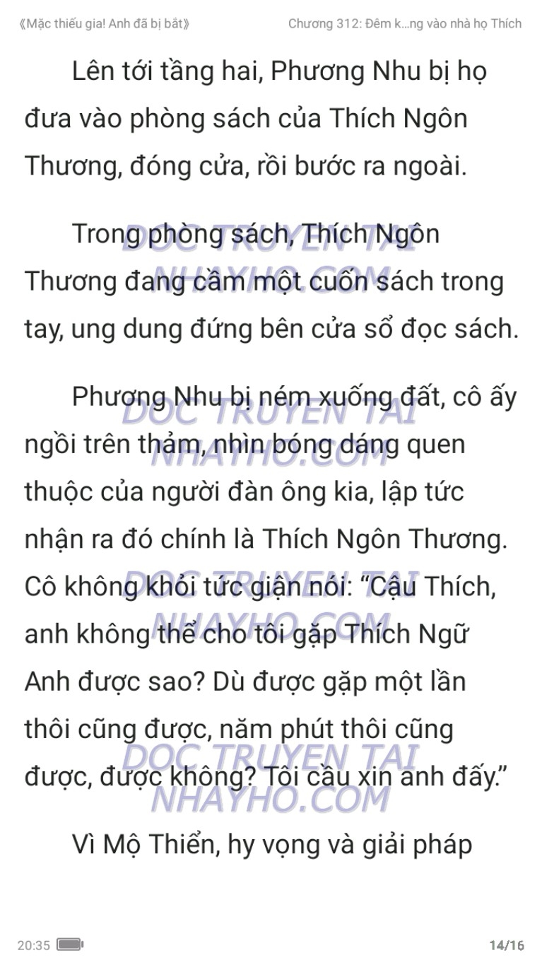 mac-thieu-gia-anh-da-bi-bat-312-13