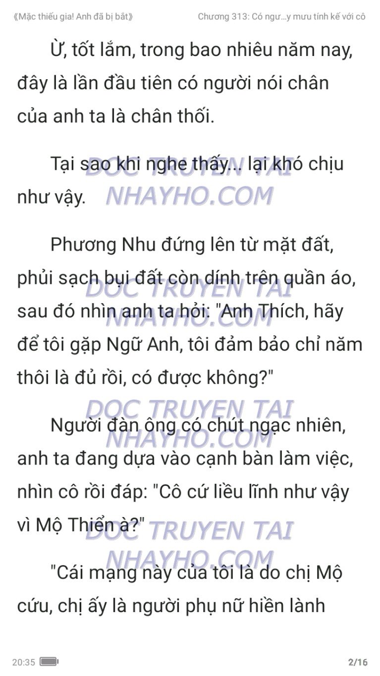 mac-thieu-gia-anh-da-bi-bat-313-13