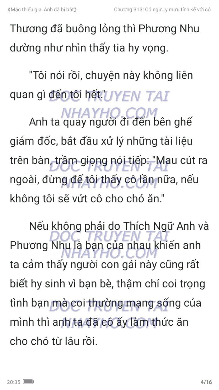 mac-thieu-gia-anh-da-bi-bat-313-15