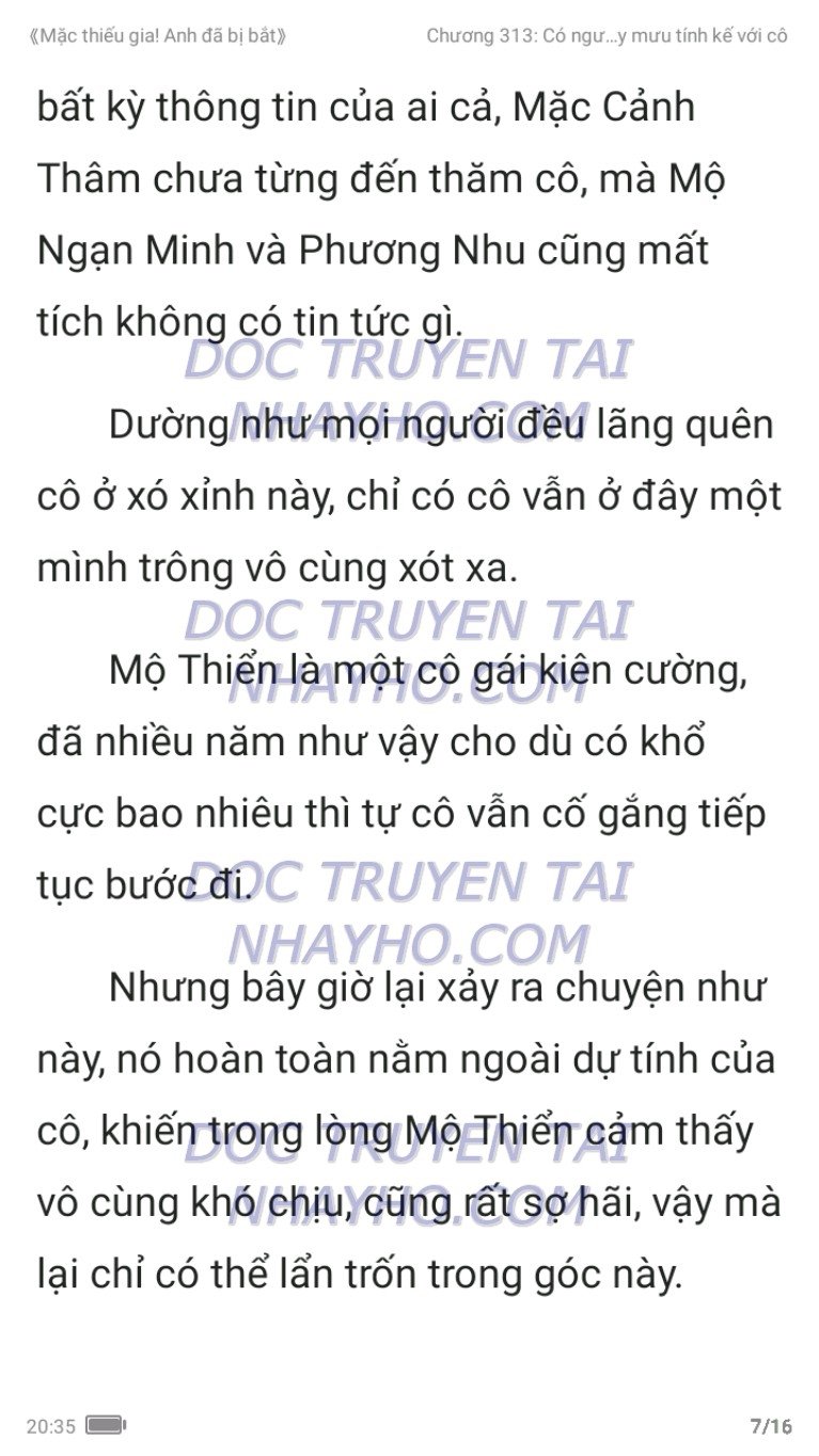 mac-thieu-gia-anh-da-bi-bat-313-18