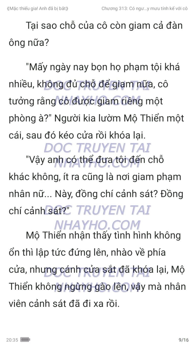 mac-thieu-gia-anh-da-bi-bat-313-20