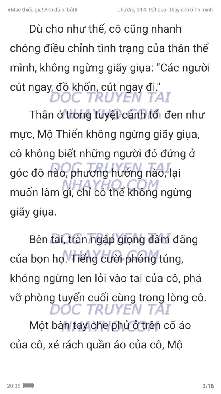 mac-thieu-gia-anh-da-bi-bat-314-2