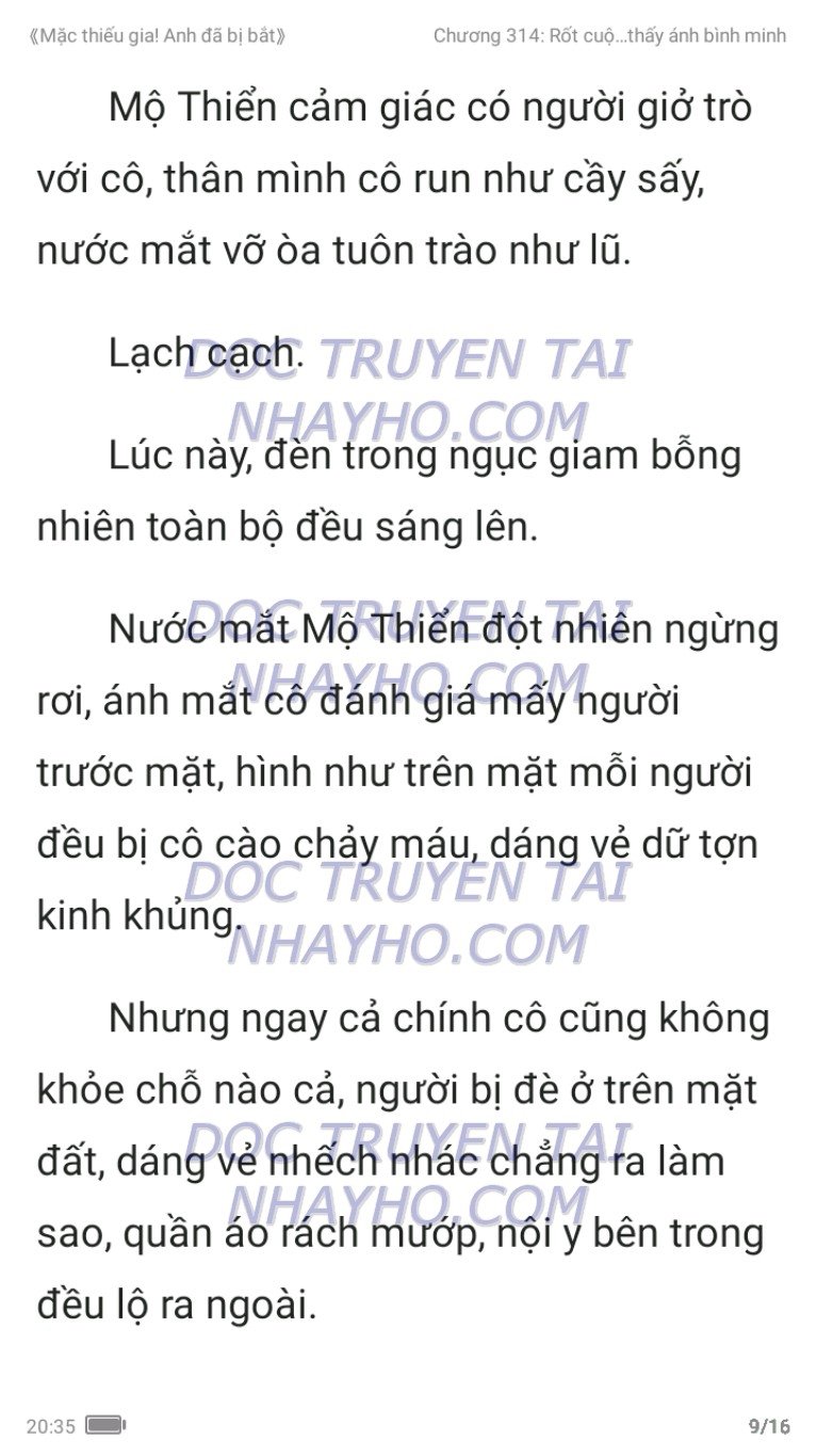 mac-thieu-gia-anh-da-bi-bat-314-8