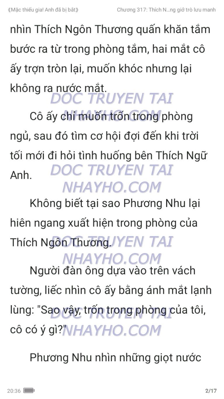 mac-thieu-gia-anh-da-bi-bat-317-1