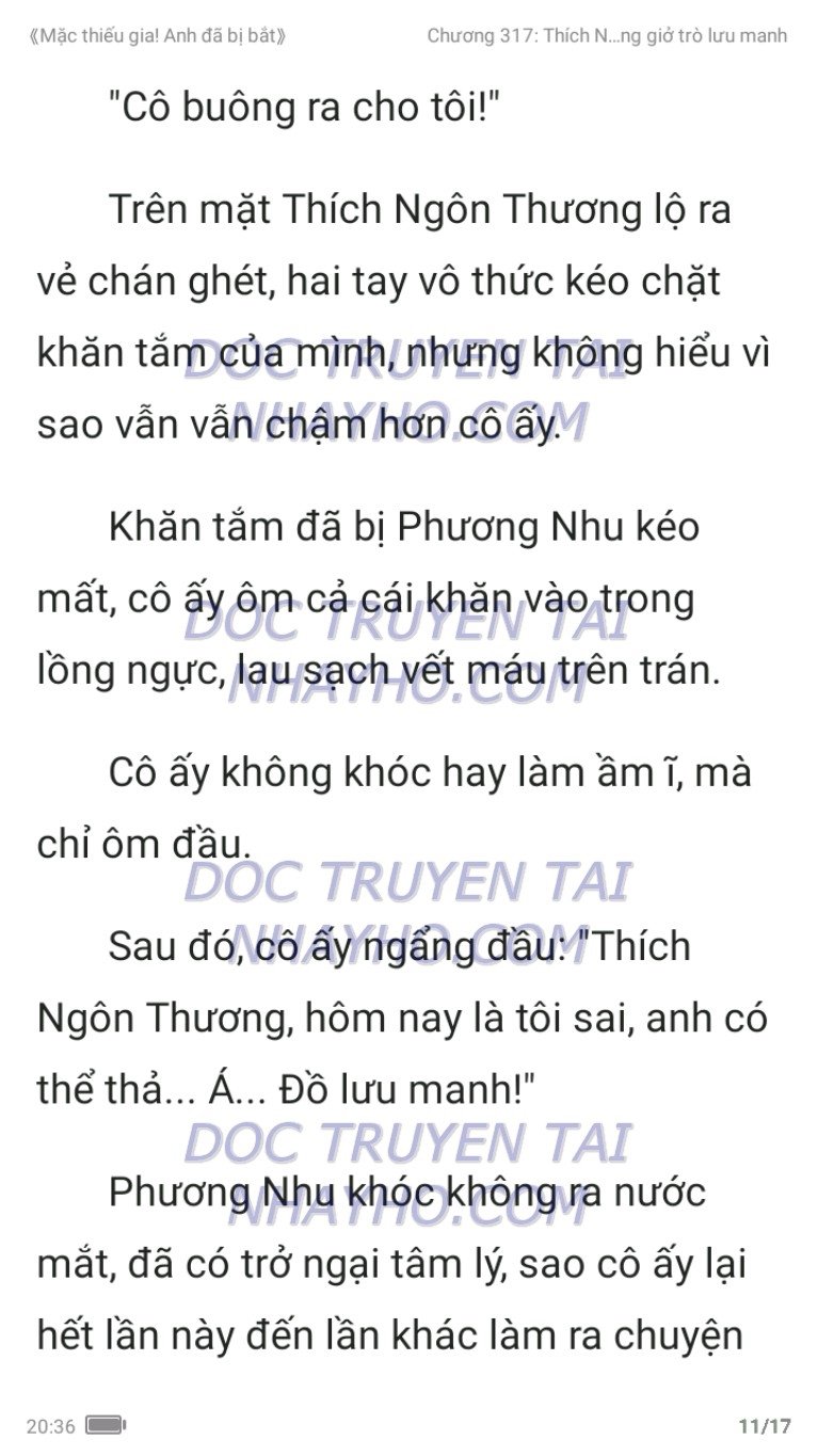 mac-thieu-gia-anh-da-bi-bat-317-10