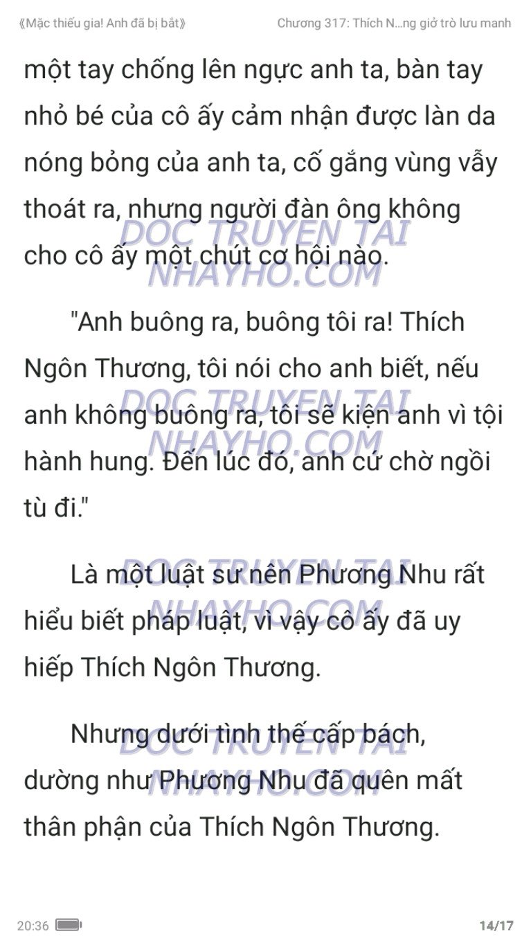 mac-thieu-gia-anh-da-bi-bat-317-13