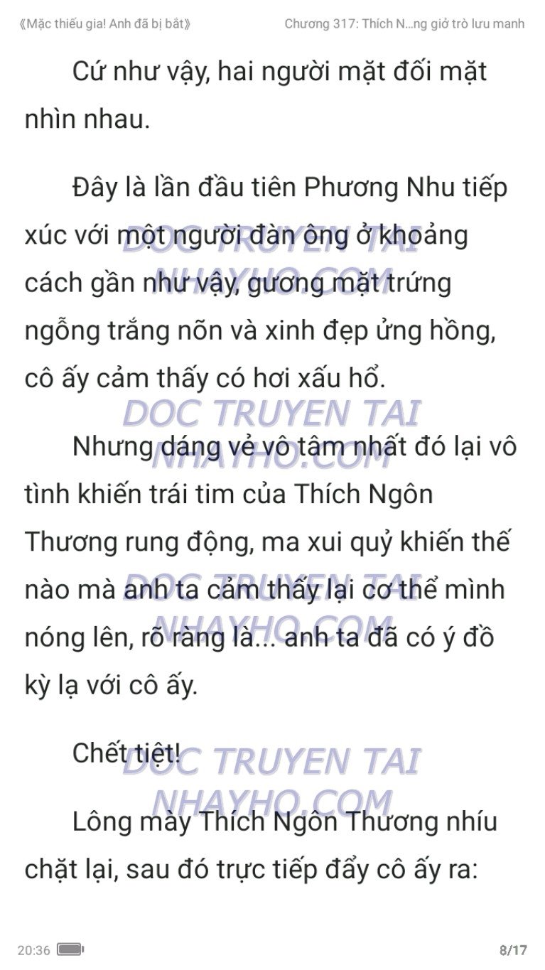 mac-thieu-gia-anh-da-bi-bat-317-7