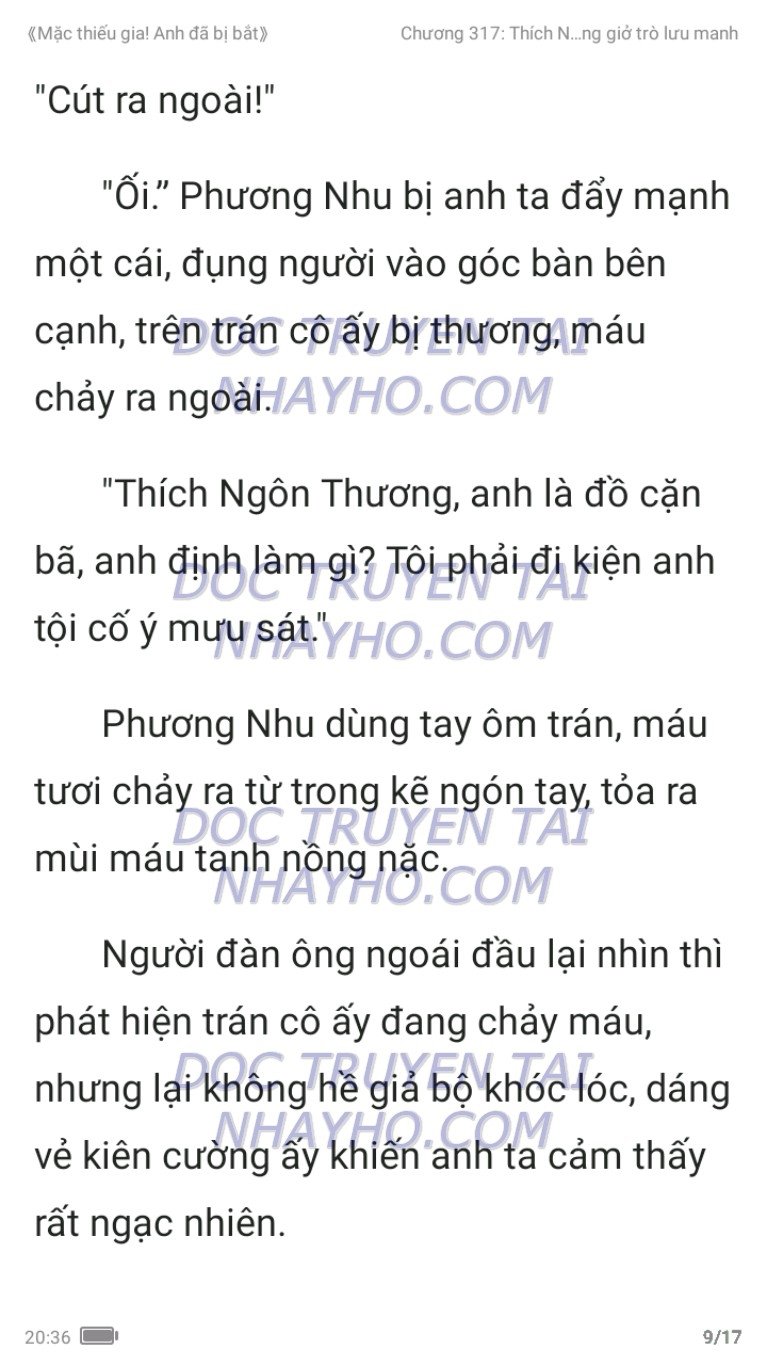 mac-thieu-gia-anh-da-bi-bat-317-8