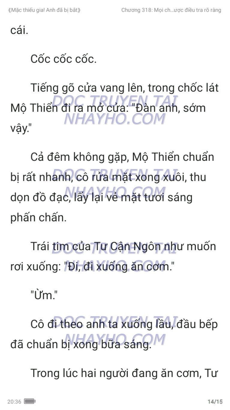 mac-thieu-gia-anh-da-bi-bat-318-13