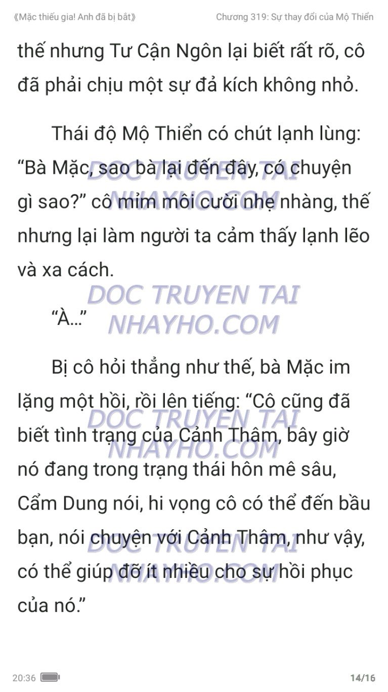 mac-thieu-gia-anh-da-bi-bat-319-13