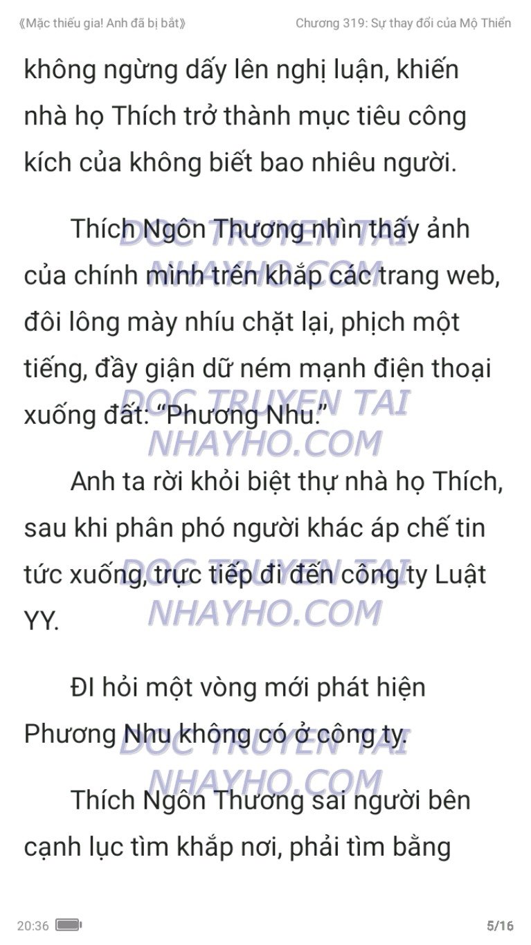 mac-thieu-gia-anh-da-bi-bat-319-4