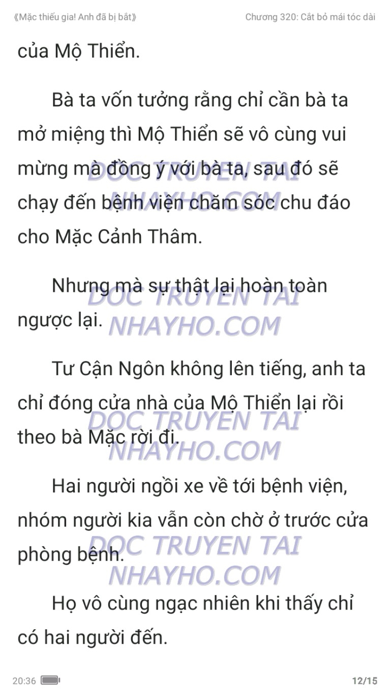 mac-thieu-gia-anh-da-bi-bat-320-11