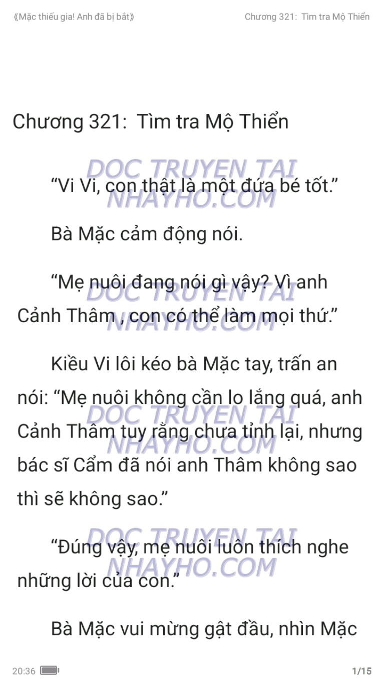 mac-thieu-gia-anh-da-bi-bat-321-0