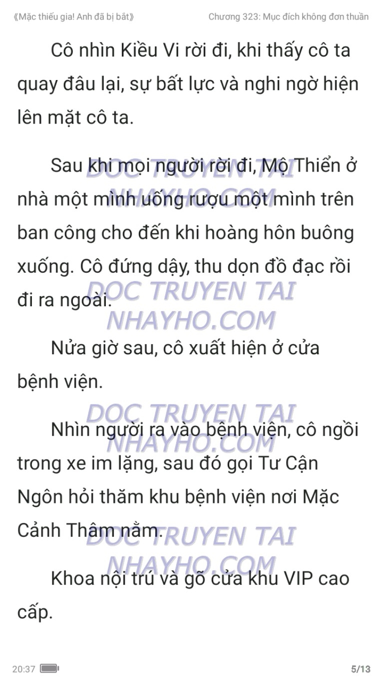 mac-thieu-gia-anh-da-bi-bat-323-4