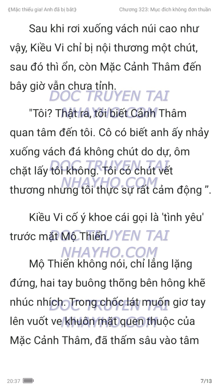 mac-thieu-gia-anh-da-bi-bat-323-6