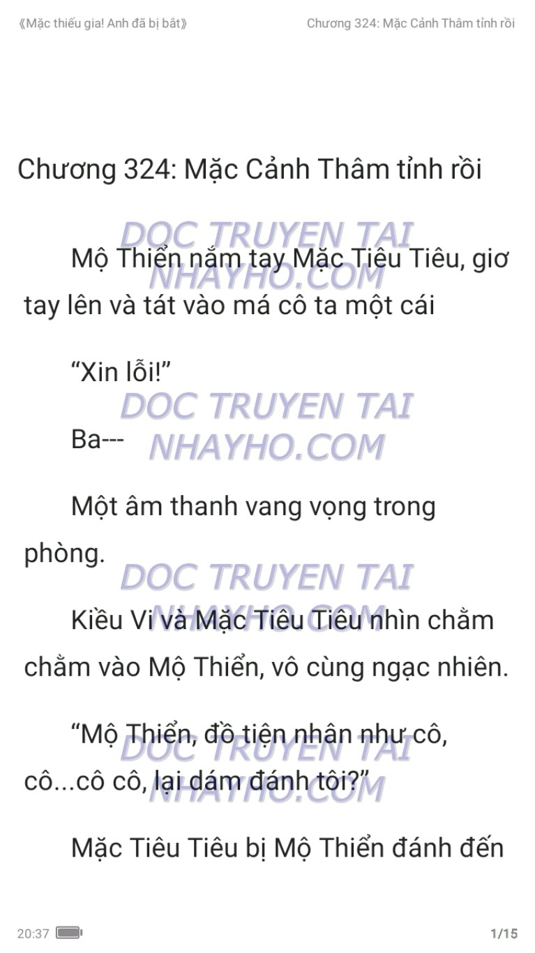 mac-thieu-gia-anh-da-bi-bat-324-0