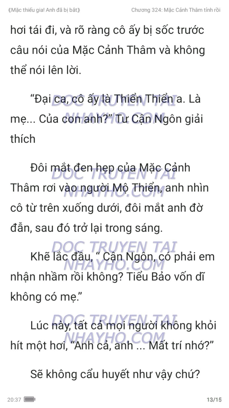 mac-thieu-gia-anh-da-bi-bat-324-12